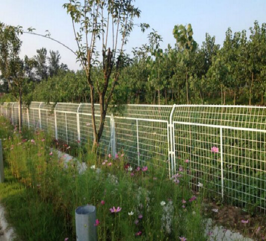 江西宜春林業圈地