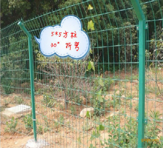 新洲橘子園圍欄網